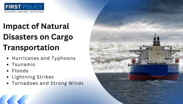 Impact of Natural Disasters on Cargo Transportation